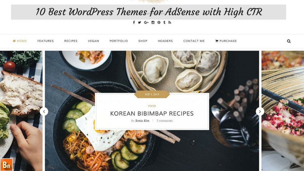 10 Best WordPress Themes for AdSense with High CTR(1)